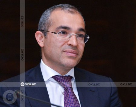 Nazirdən Azərbaycan-İsveçrə diplomatik münasibətlərinin 30 illiyi ilə bağlı paylaşım - FOTO